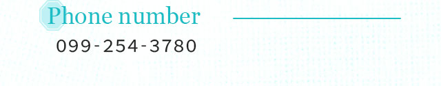 Phone number 099-254-3780