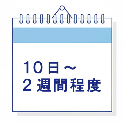 10日〜2週間程度