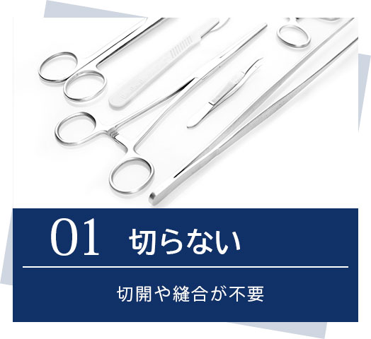 01.切らない 切開や縫合が不要