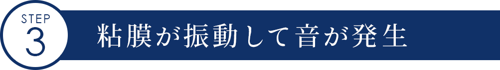 粘膜が振動して音が発生