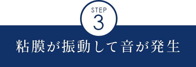 粘膜が振動して音が発生