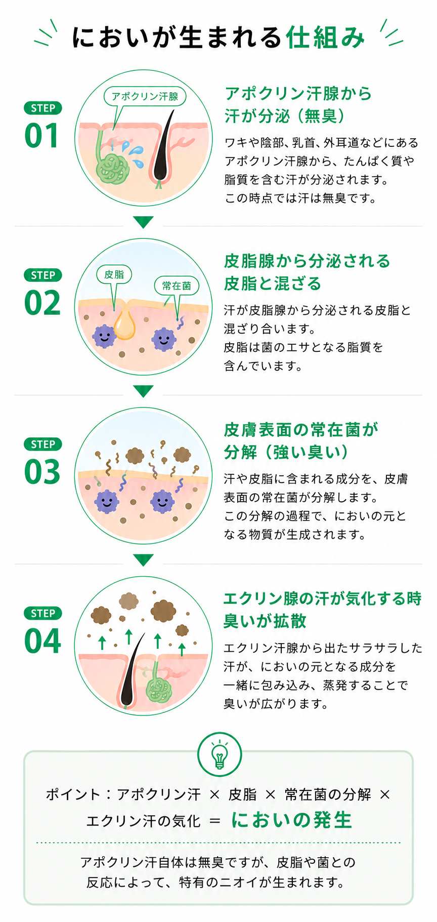 においが生まれる仕組み
