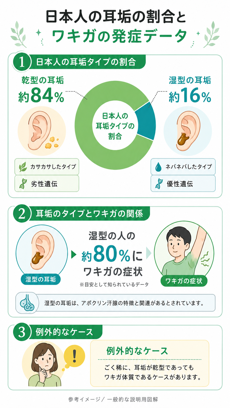 日本人の耳垢の割合とワキガの発症データ